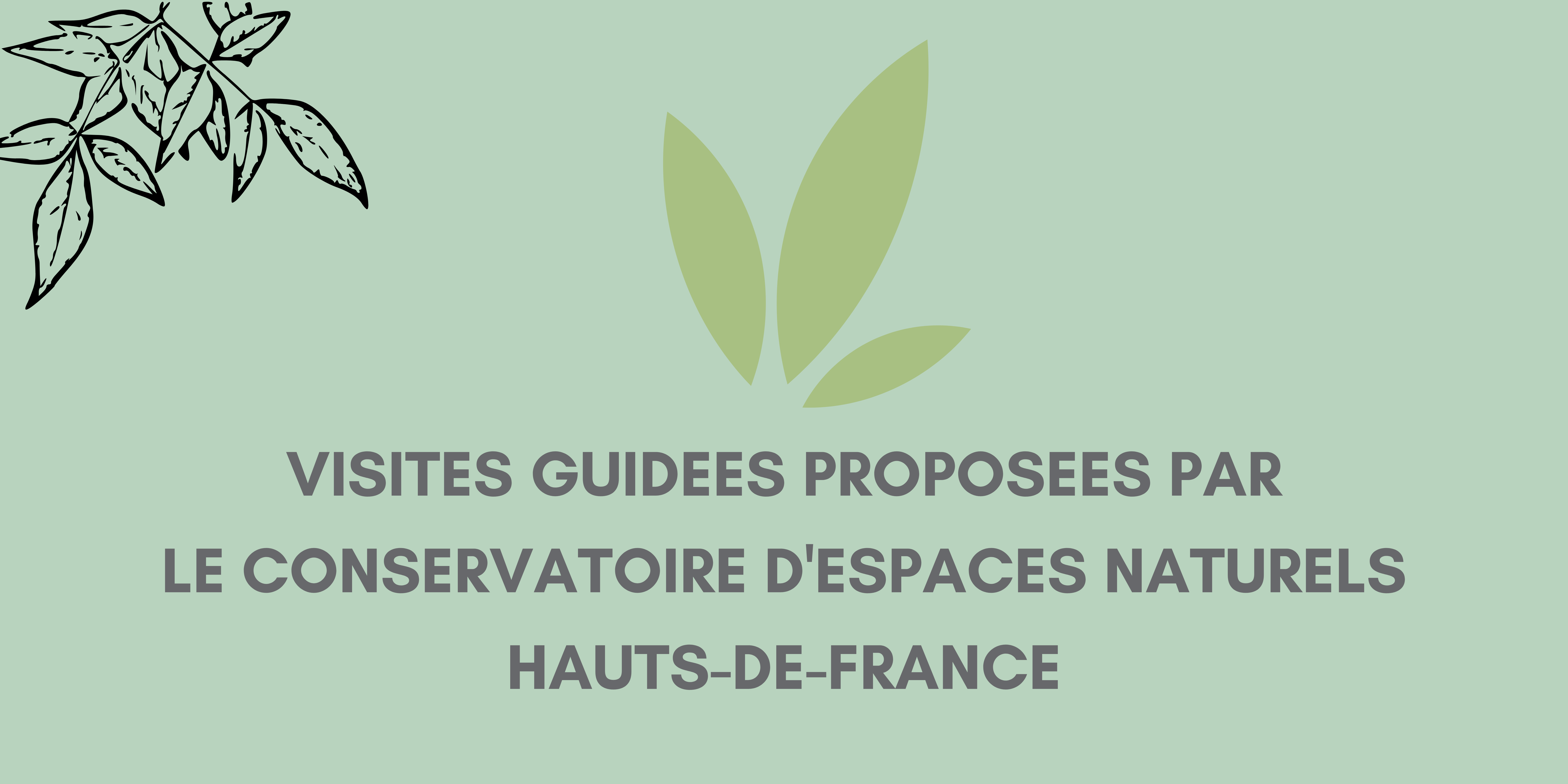 Visites guidées proposées par le Conservatoire d'espaces naturels (CEN)