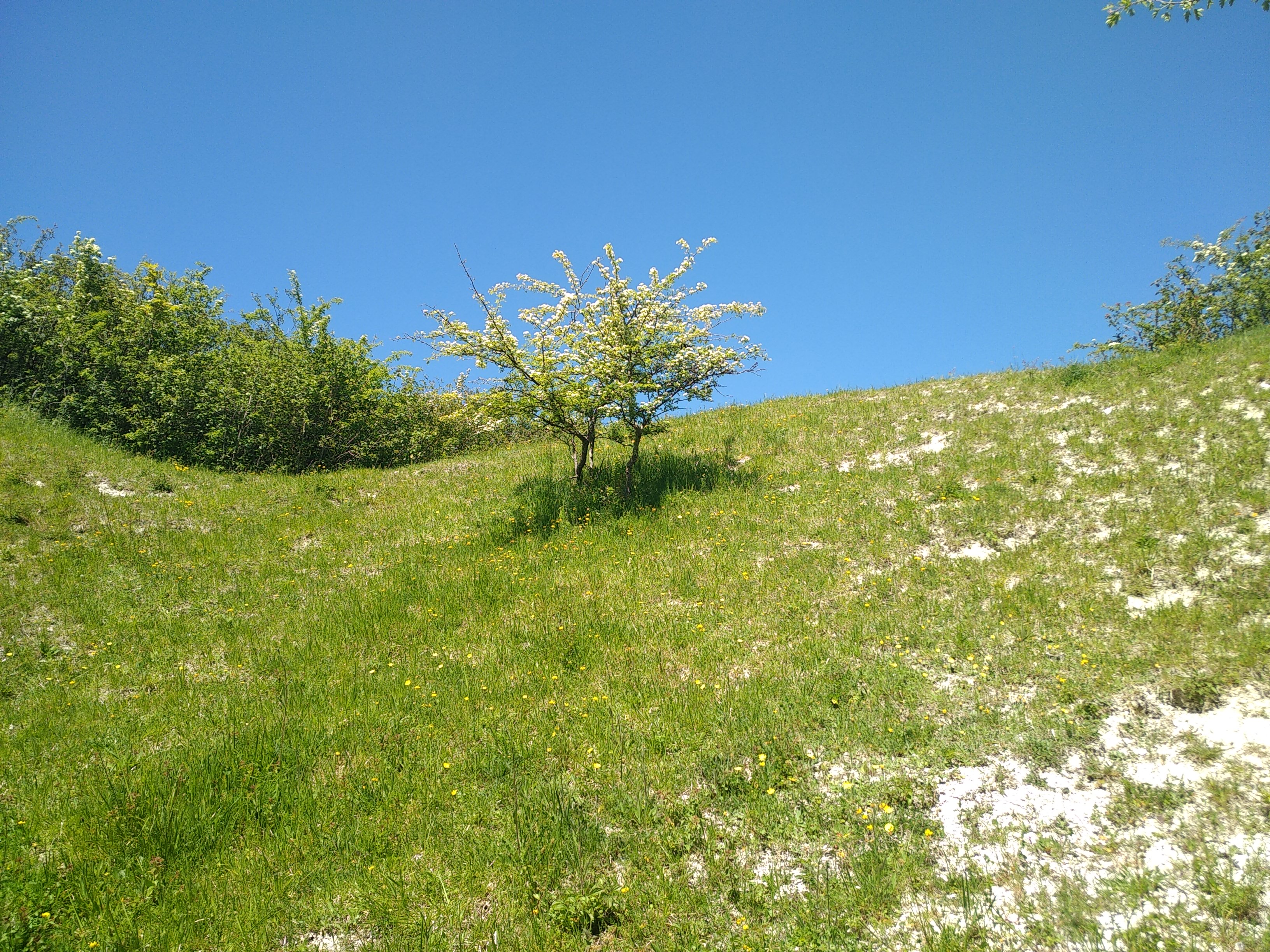 A Regional historical geological part